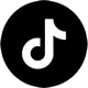 TikTok Icon